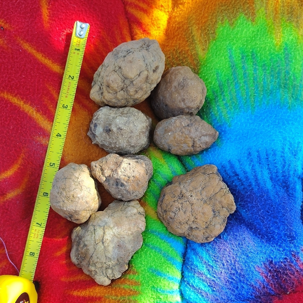 Geodes - Picture 4 of 5